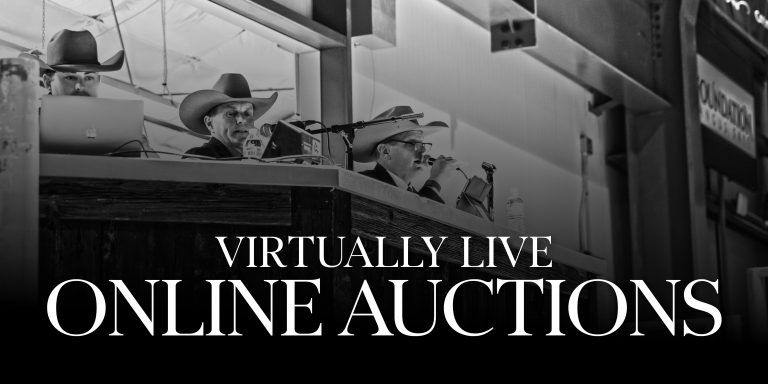 Virtual Livestock Auctions